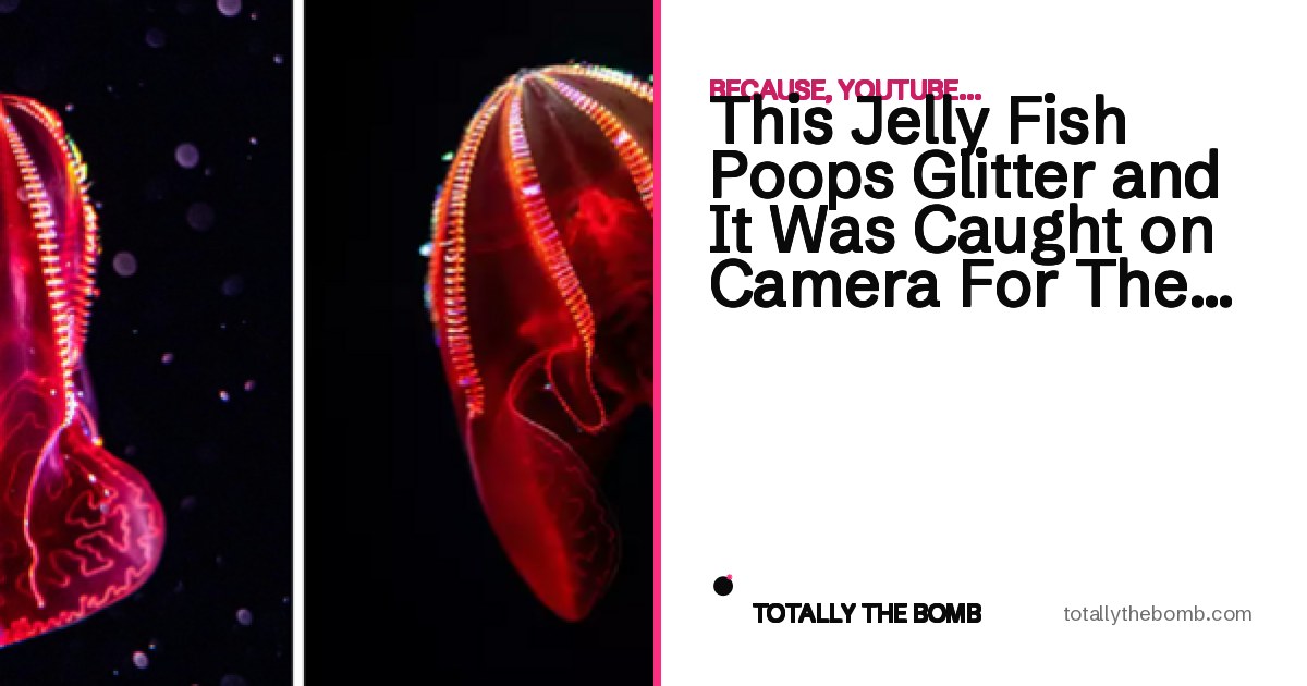 This Jelly Fish Poops Glitter and It Was Caught on Camera For The