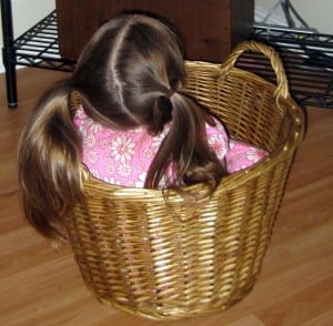 Halle in a Basket Halle in a Basket