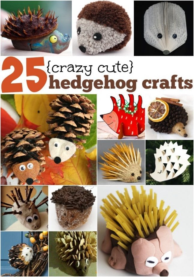 25 cute hedgehog crafts