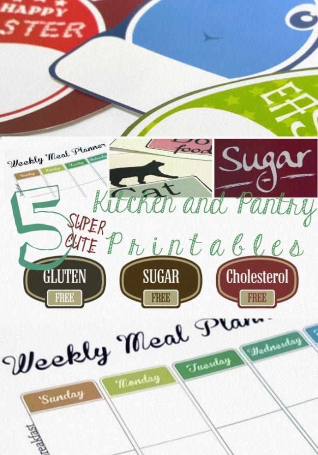 5 super cute kitchen and pantry printables