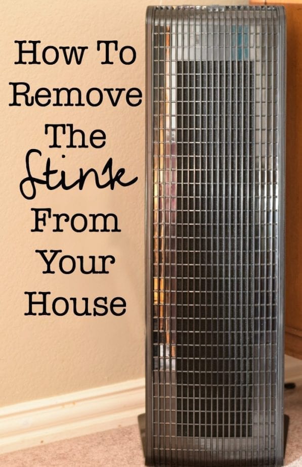 how to remove the stink from your house