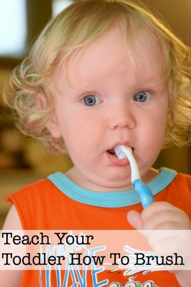 teach toddler to brush