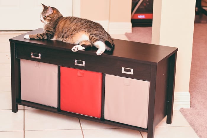 My Secret For Looking Organized When I’m Really Not…