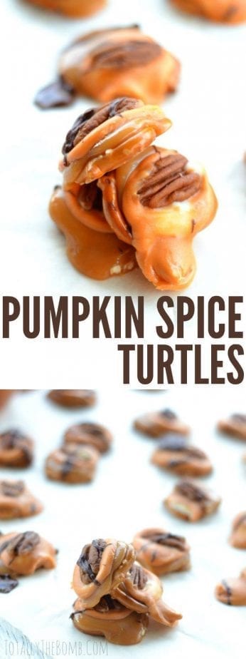 These Pumpkin Spice Turtles are a decadent treat that we recommend you keep for yourself. Click now!