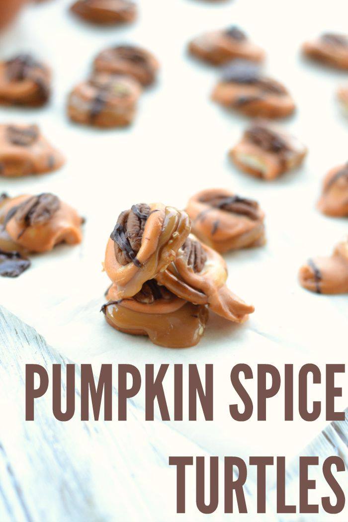 Pumpkin Spice Turtles