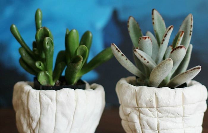 DIY Air-Dry Clay Planters