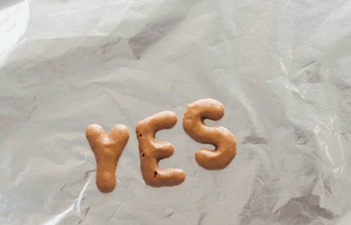 say yes to everything
