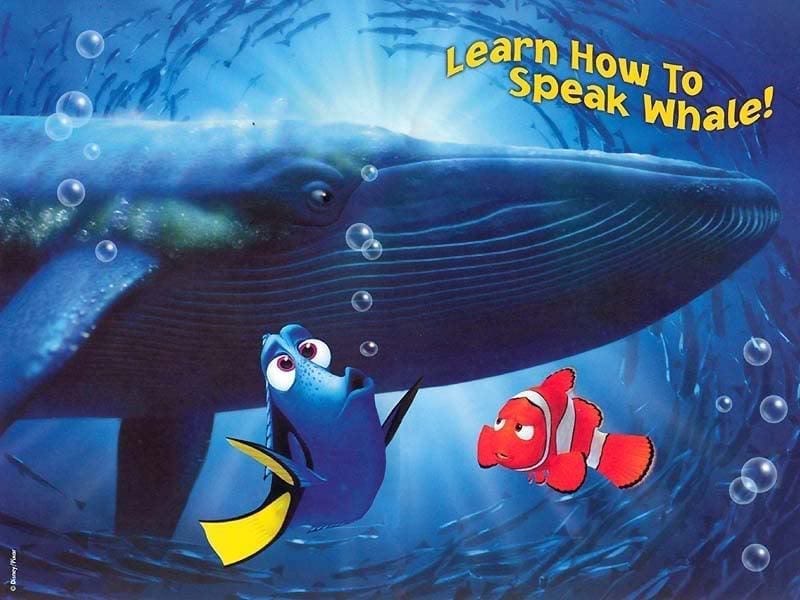 Whale