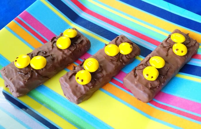 Yellow Ants On A Log Granola Bars