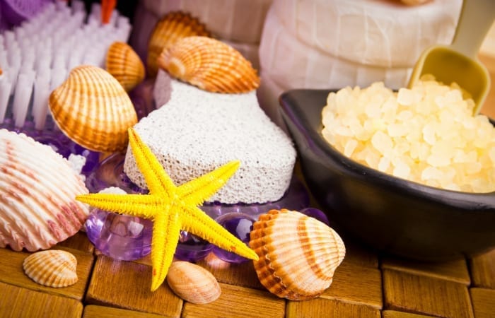 seashell motif