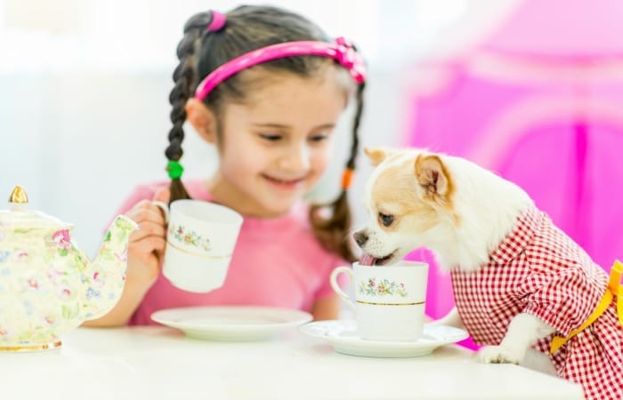 child and dog tea
