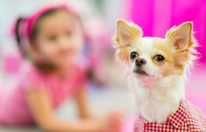 dog with child