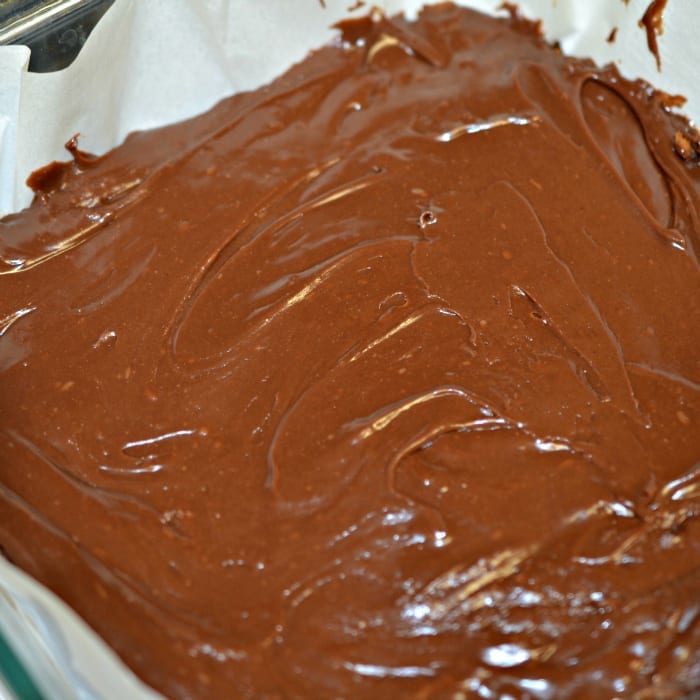 smoresfudge3