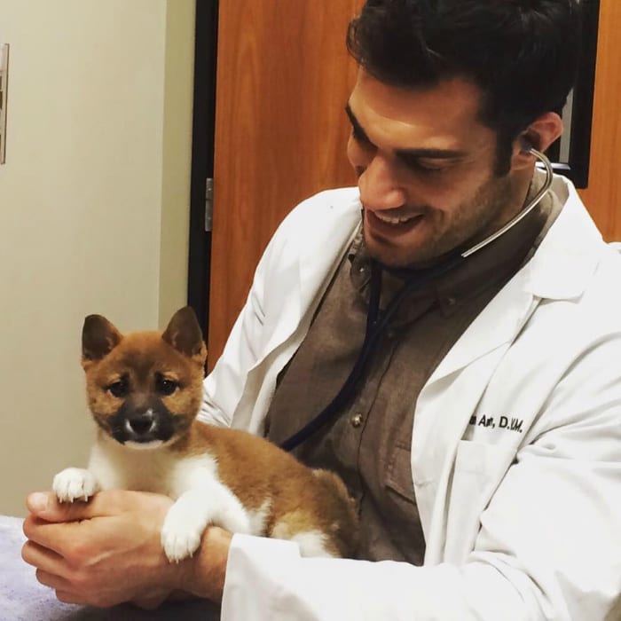 doc and floofie