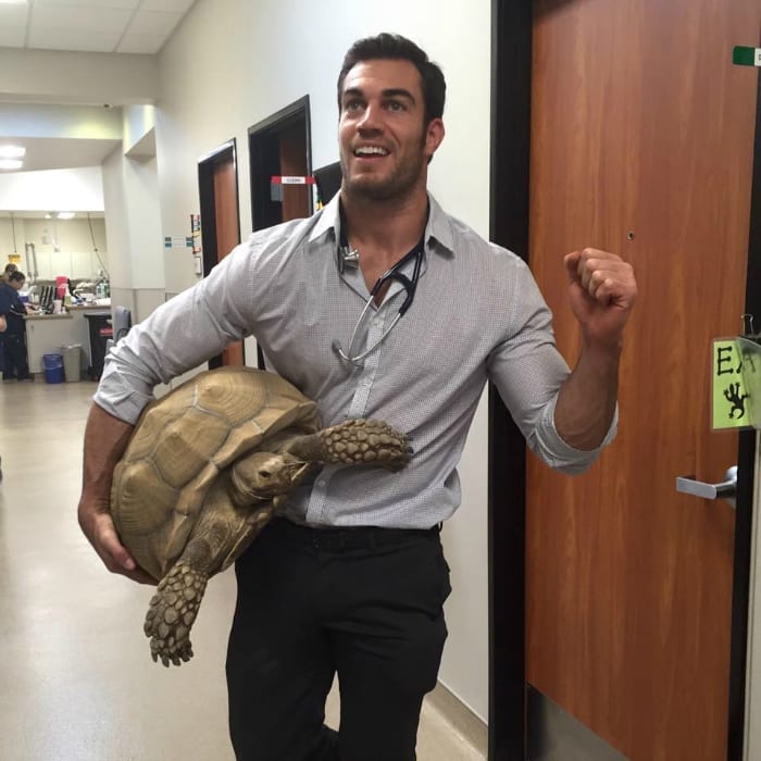 doc and tortoise