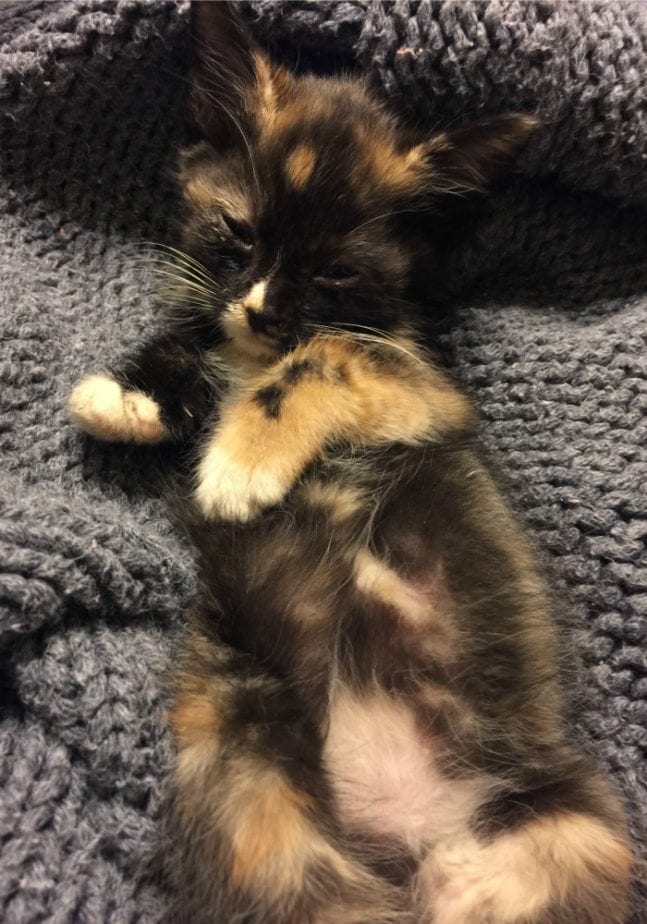JJ, just relaxing