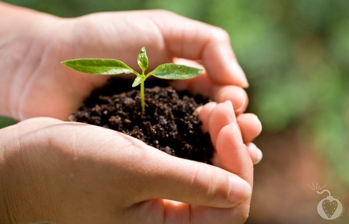 Easy Ways to Go Green Featured
