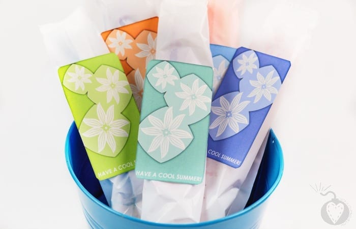 Have a COOL Summer Popsicle Gift + Free Printable