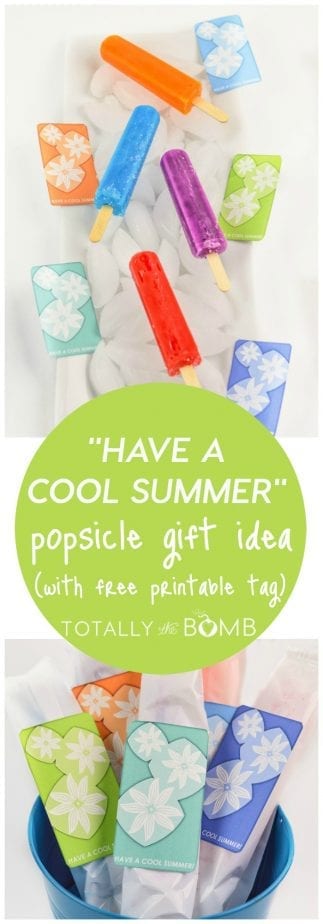 Have a COOL Summer Popsicle Gift