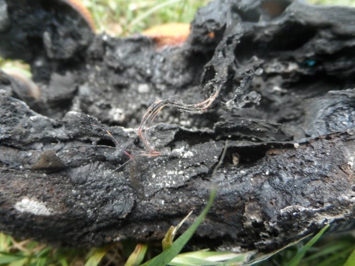 wire from light up shoes catching fire