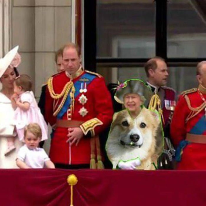 Queen doge
