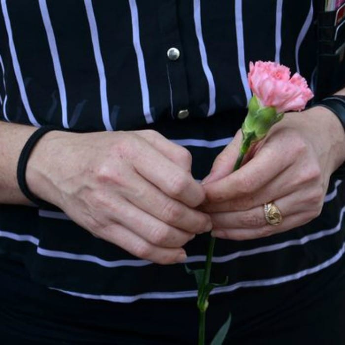 carnation
