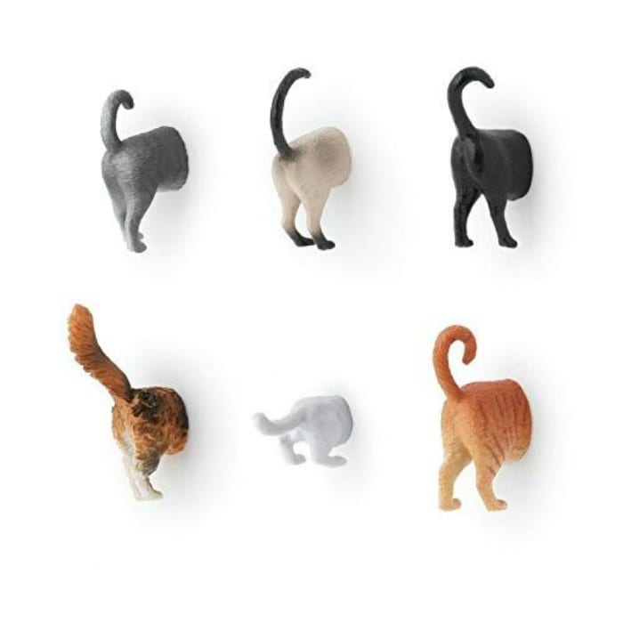 cat butt magnets