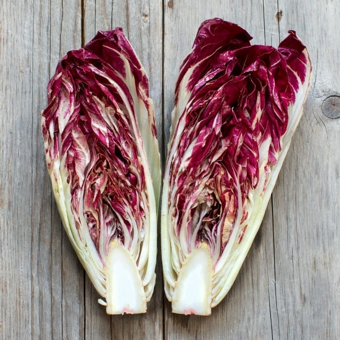 chicory