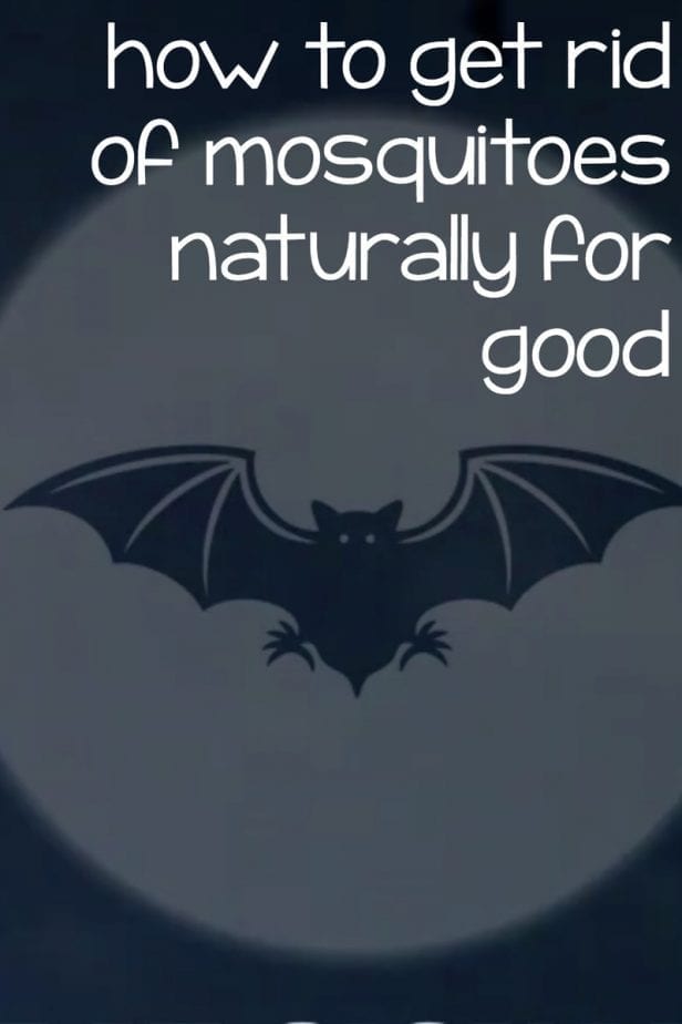 get rid of mosquitoes for good