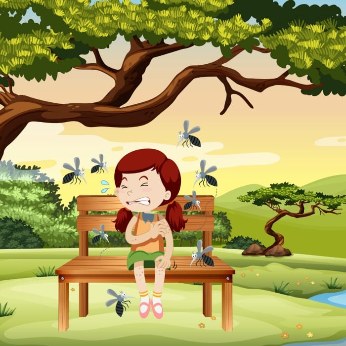 mosquitos at the park