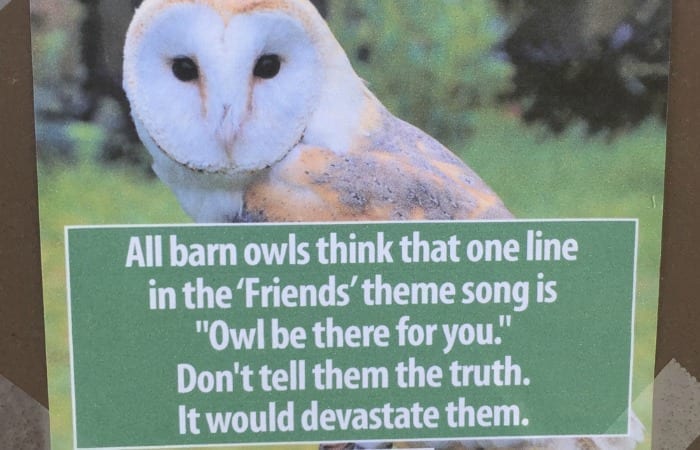 This Reddit User Left Fake Animal Facts At The L.A. Zoo – And They’re Hilarious!