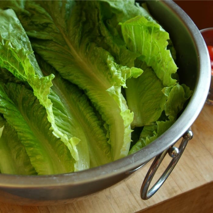 romaine