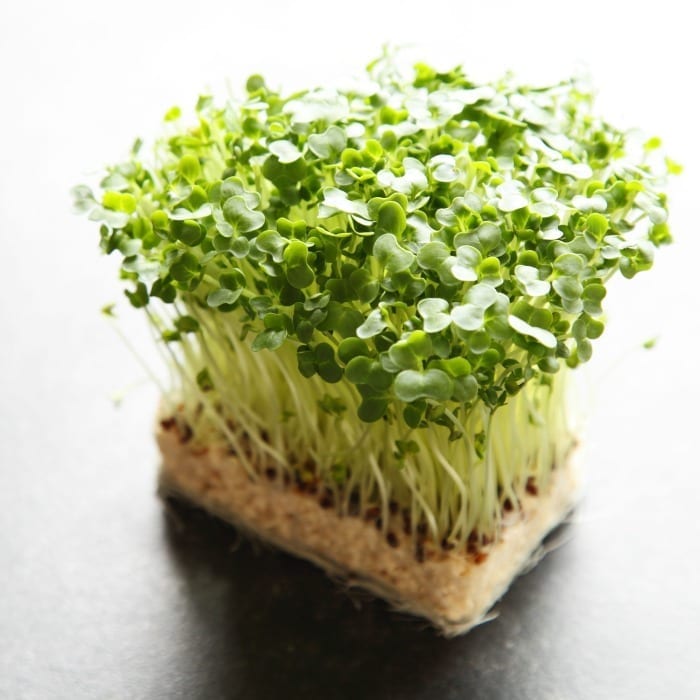 watercress