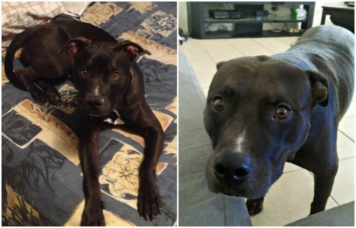 My sweet baby then, and now...