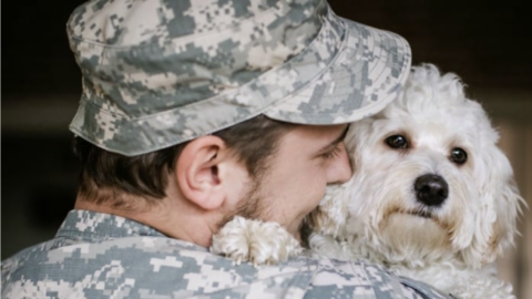 Surviving The Fireworks Is Not As Easy For Some…