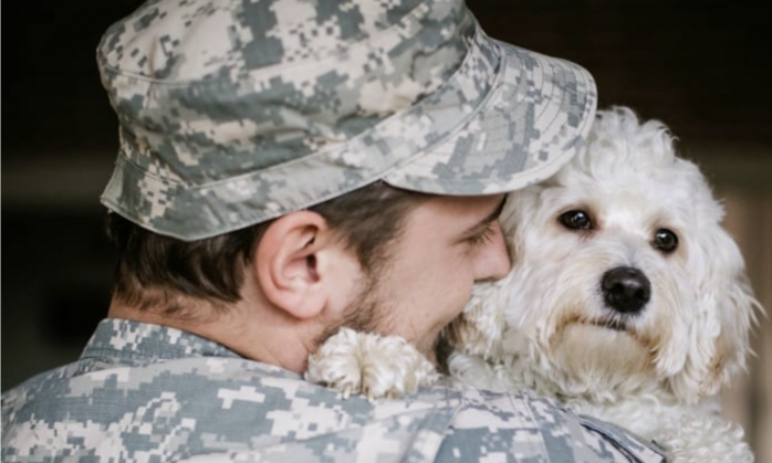 Surviving The Fireworks Is Not As Easy For Some…
