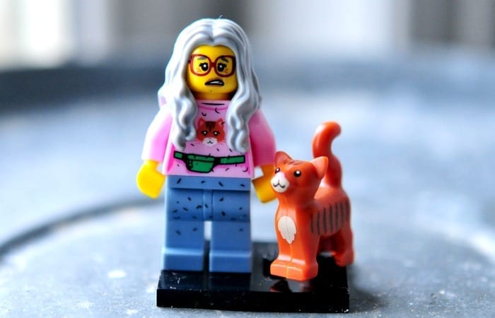10 Must-Haves For Any Crazy Cat Lady