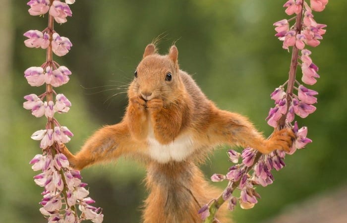 10 Animals That’ll Make You Happy You Woke Up Today