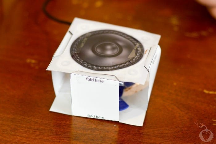 The Beauty of Sound Through Science7