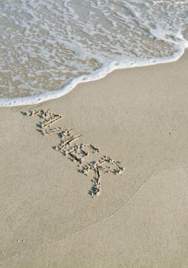 goodbye summer