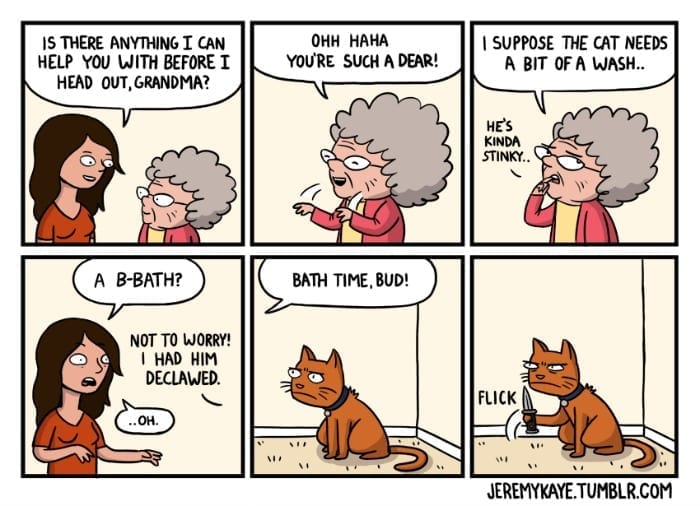 how to bathe a cat
