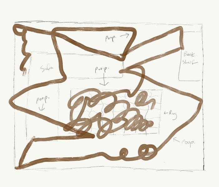 the poopaning