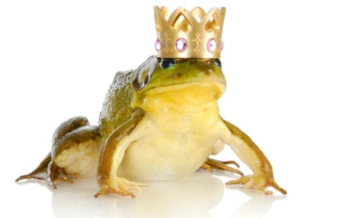 He Loves Me Not: 10 Signs Your Prince Charming Is Actually A Warty Little Toad