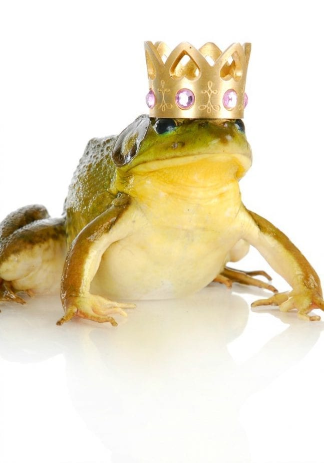 not-charming-prince