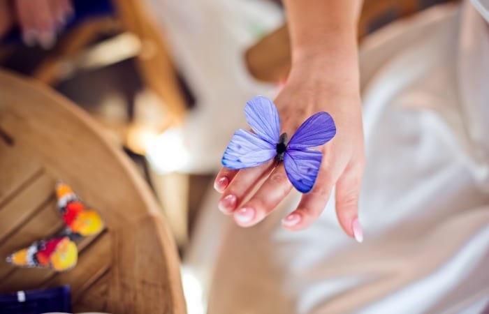 The Butterfly Effect Of Bad Handwriting