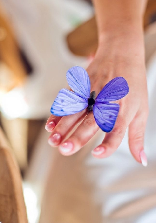 butterfly-on-bride