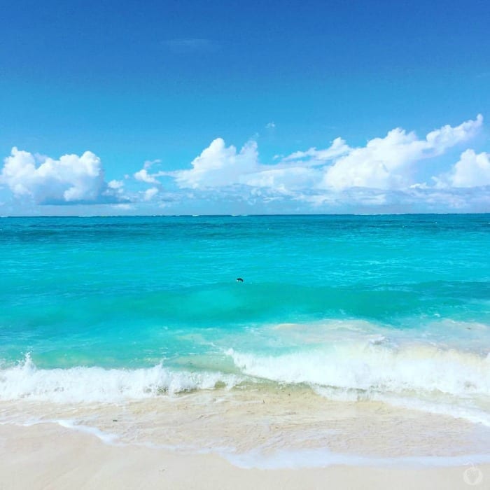 ocean