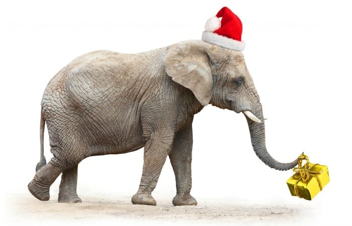 White Elephant Gift Exchanges And Why We Suck At Them