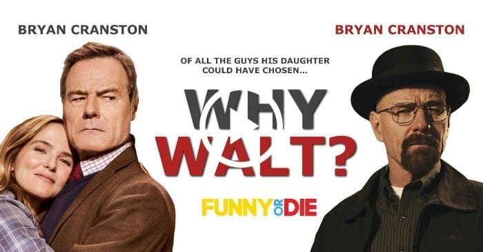 why-walt