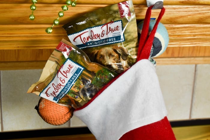 Easy Pet Stocking Stuffers